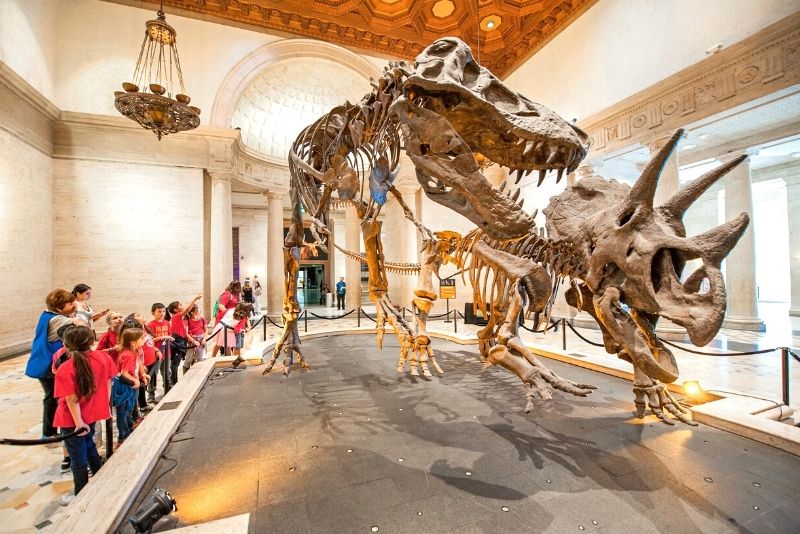 Field Museum of Natural History, Chicago