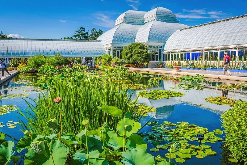 New York Botanical Garden