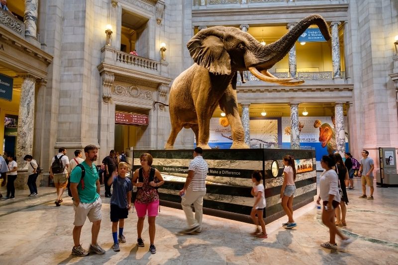 Smithsonian National Museum of Natural History, Washington DC