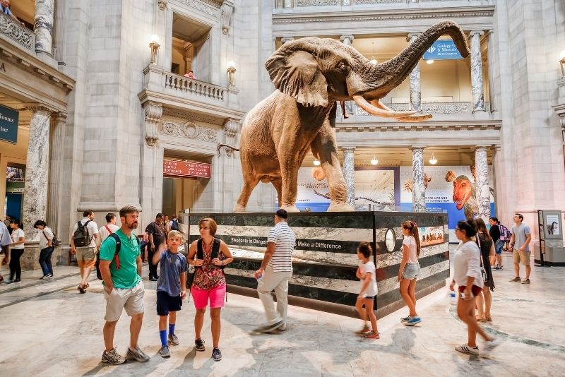 Smithsonian Natural History Museum, Washington DC