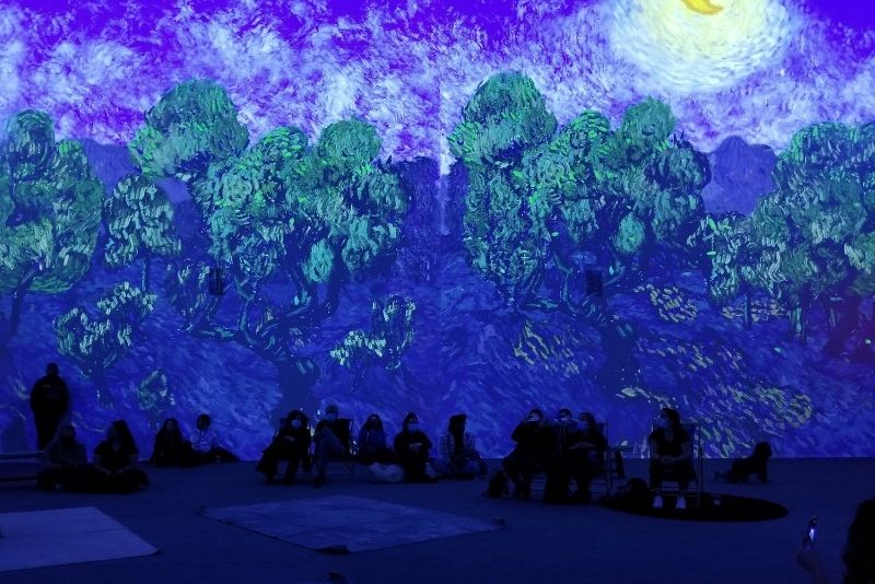 Van Gogh The Immersive Experience, Washington DC