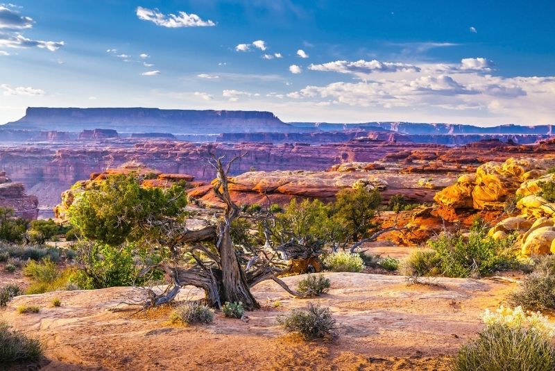 Canyonlands National Park