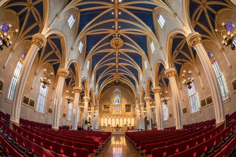 Cathedral of the Assumption Louisville
