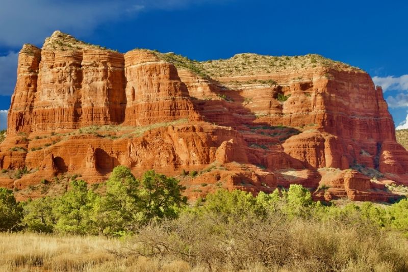 Coconino National Forest