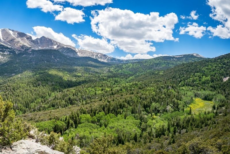 Great Basin National Park