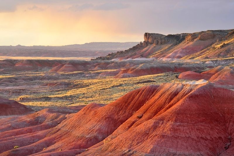 Petrified Forest National Park