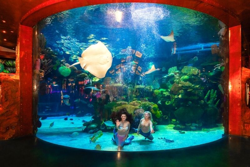 Silverton Aquarium Mermaids, Las Vegas