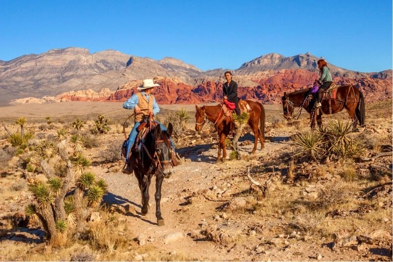 horse riding tours in Red Rock Canyon