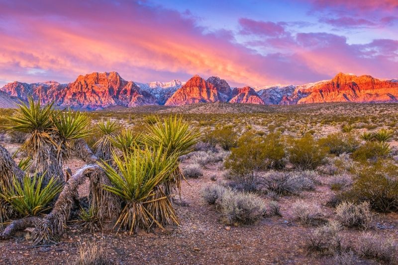 sunset tours in Red Rock Canyon