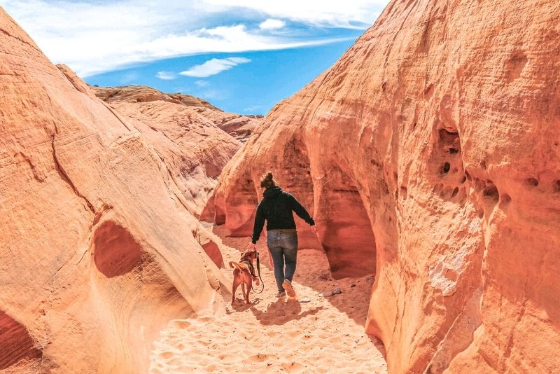 visiting Valley of Fire with pets