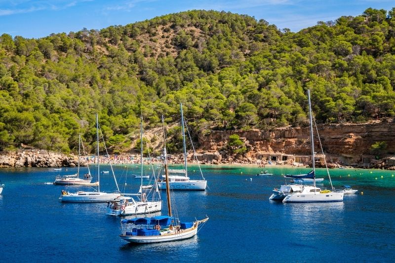 sea tours ibiza