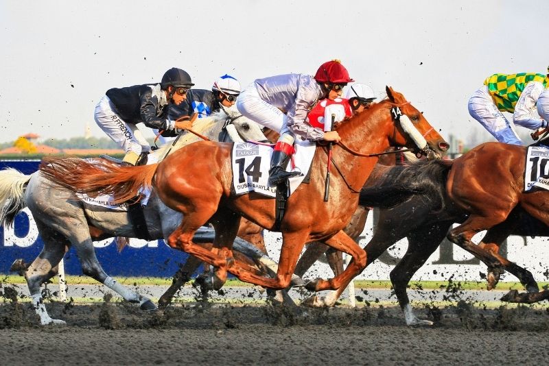Meydan Racecourse, Dubai