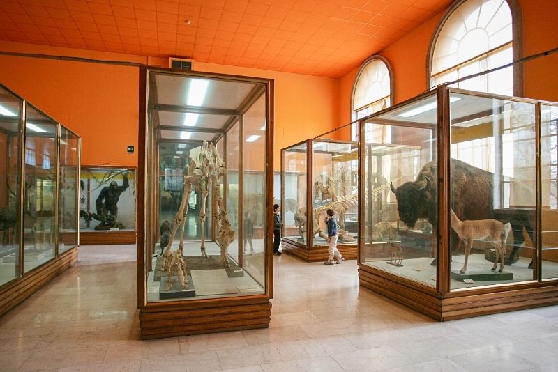 Museo di Storia Naturale di Venezia