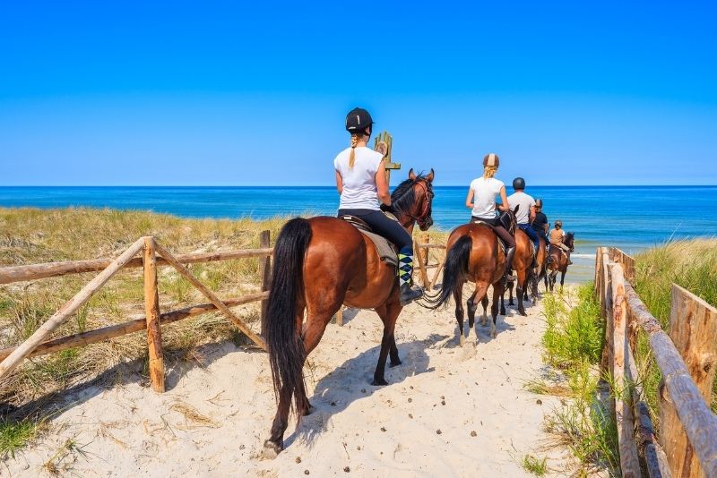 horse riding in Paros