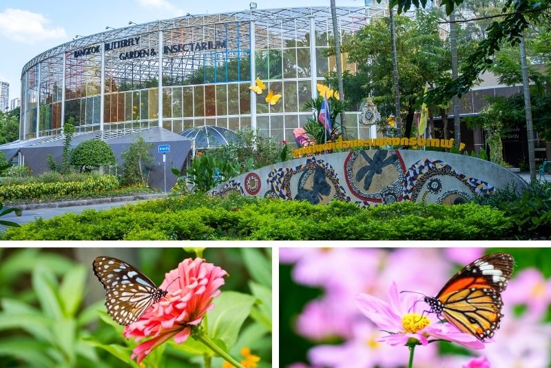 Bangkok Butterfly Garden & Insectarium, Bangkok