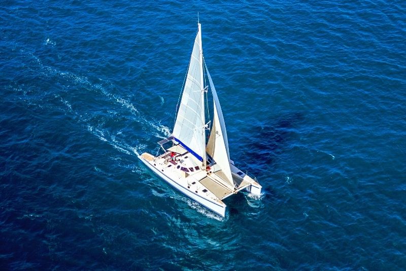 Desertas Islands boat tour in Madeira