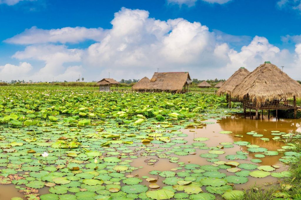 56 Fun & Unusual Things to do in Siem Reap - TourScanner