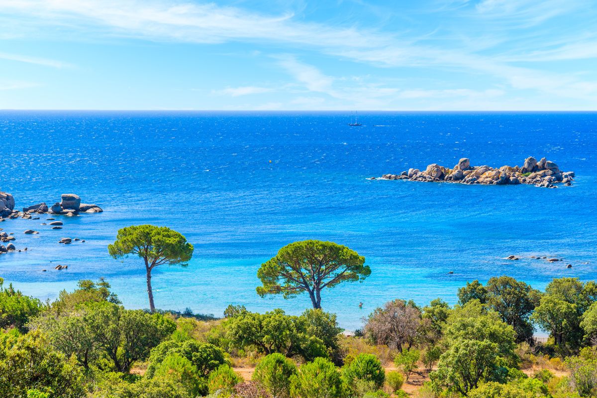 Plage de Palombaggia boat trips