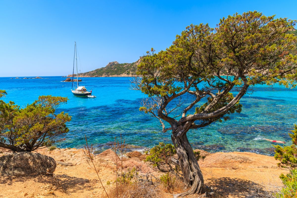 Plage de Roccapina boat trips