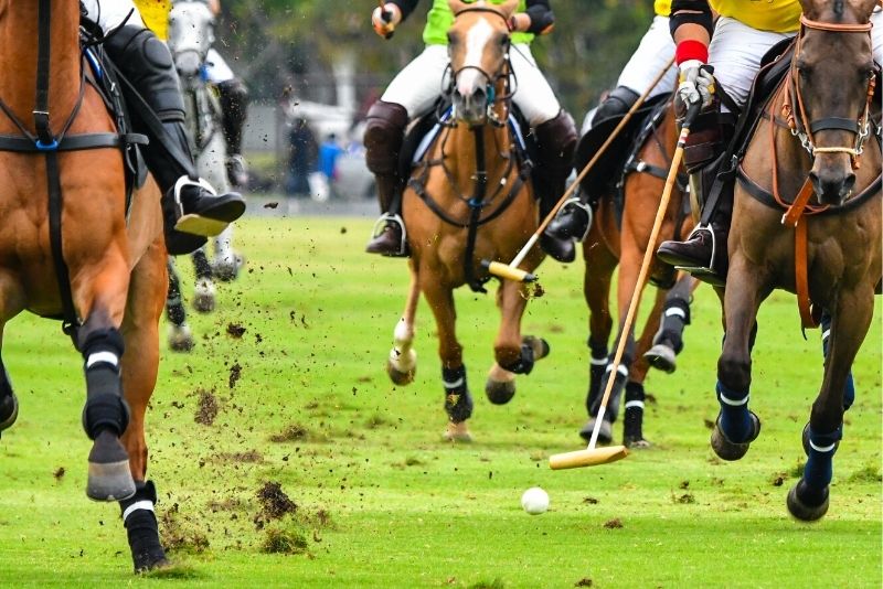 polo in Buenos Aires