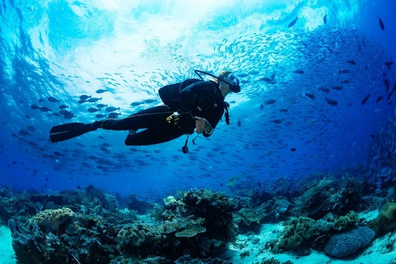 scuba diving in Aci Trezza