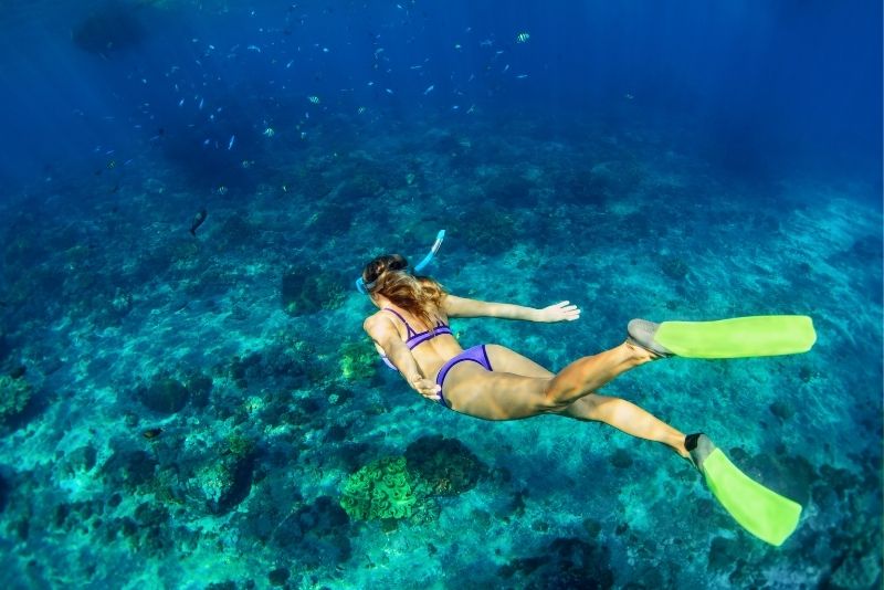 snorkeling boat tour in Ayios Yeoryios Island