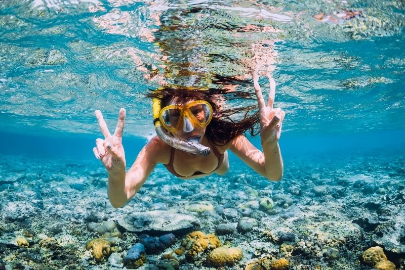 snorkeling in Lady's Mile Beach