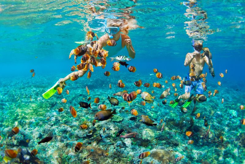 snorkeling in Lembongan Island