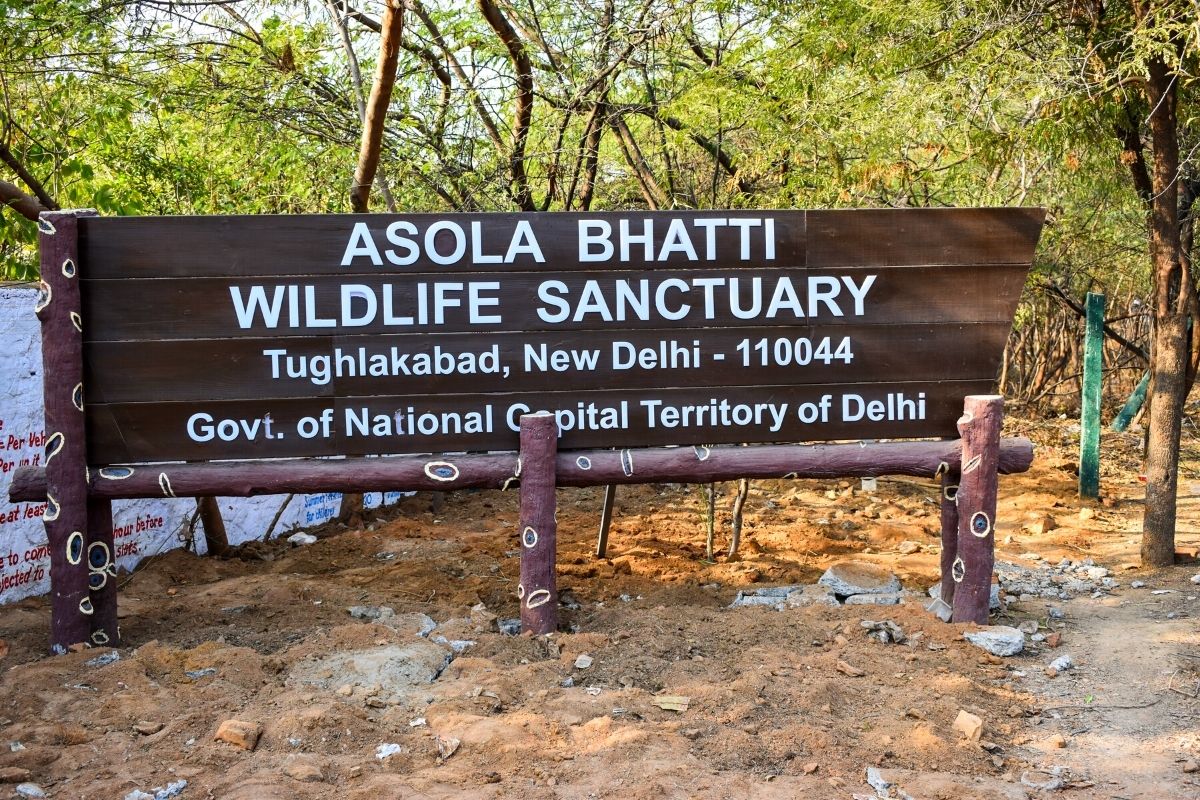 Asola Bhatti Wildlife Sanctuary, Delhi