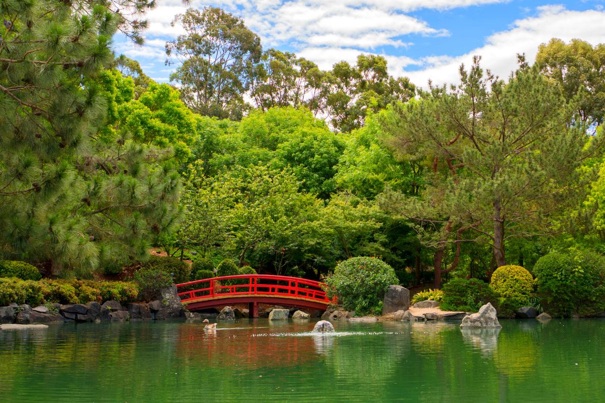 Auburn Botanic Gardens, Sydney