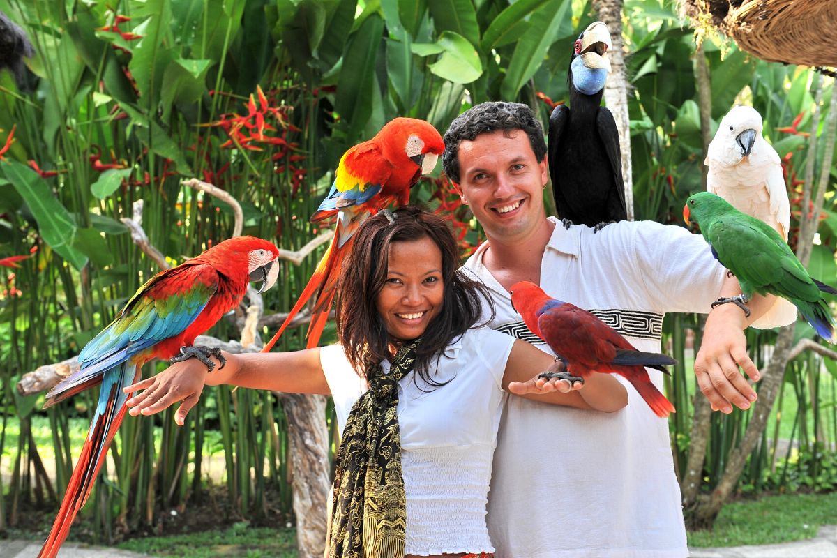 Bali Bird Park