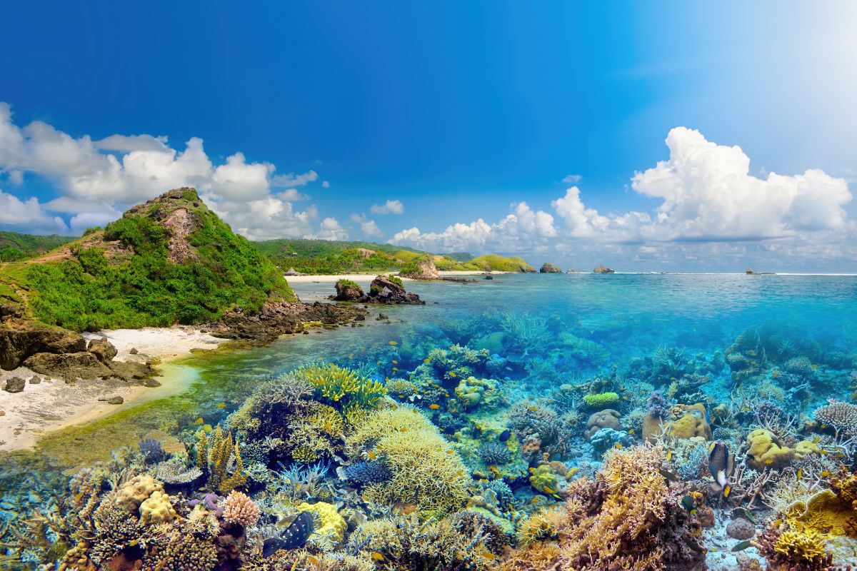 Belongas Bay, Lombok