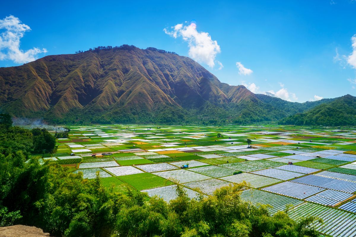 Bukit Selong, Lombok