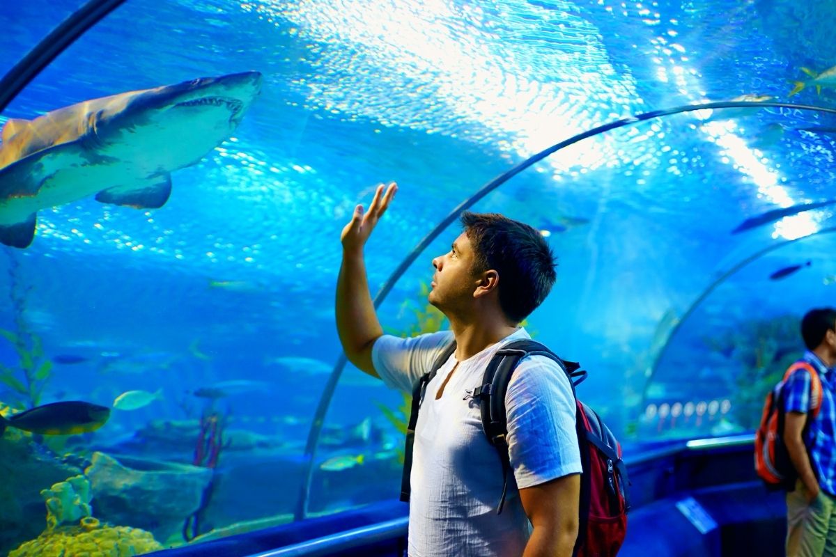 Chiang Mai Zoo Aquarium, Thailand