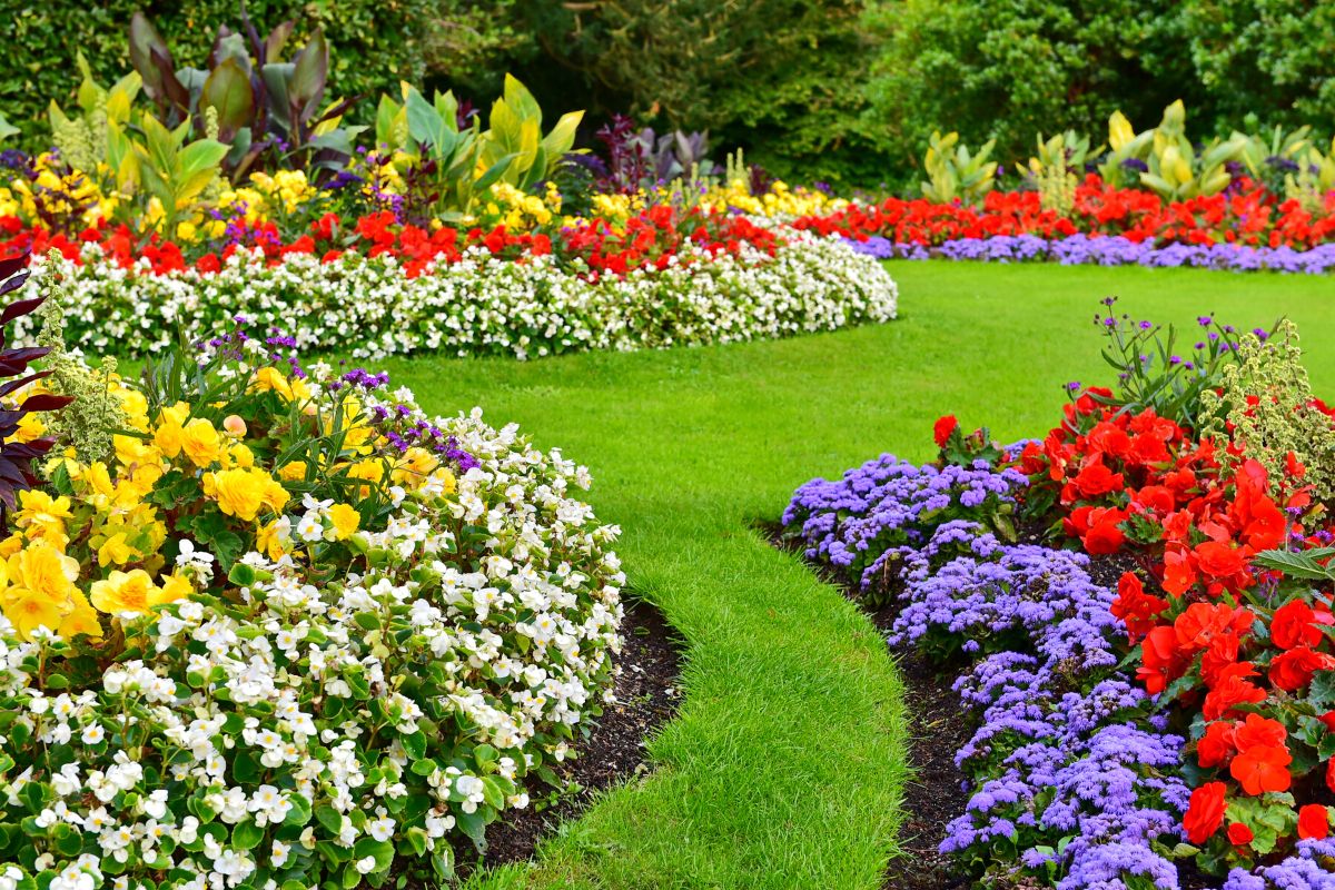 Ho Tay Flower Garden, Hanoi