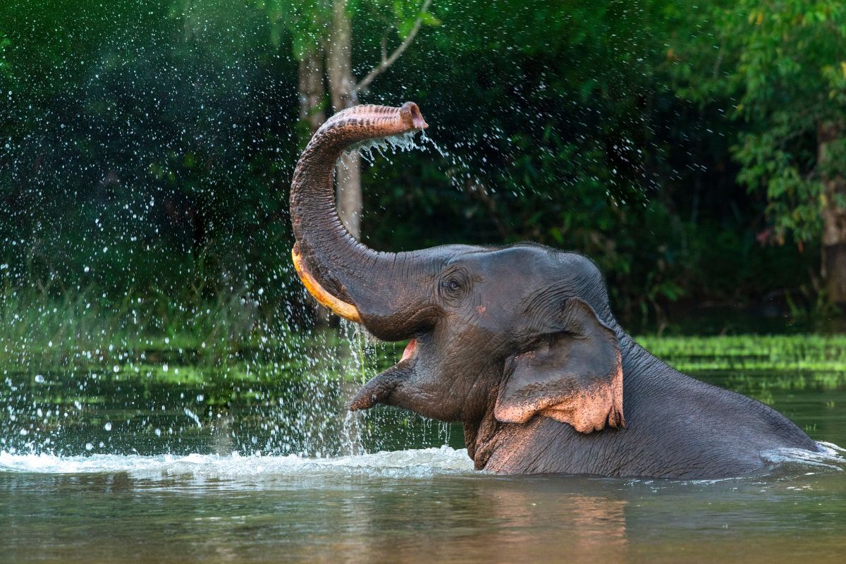 Lombok Wildlife Park