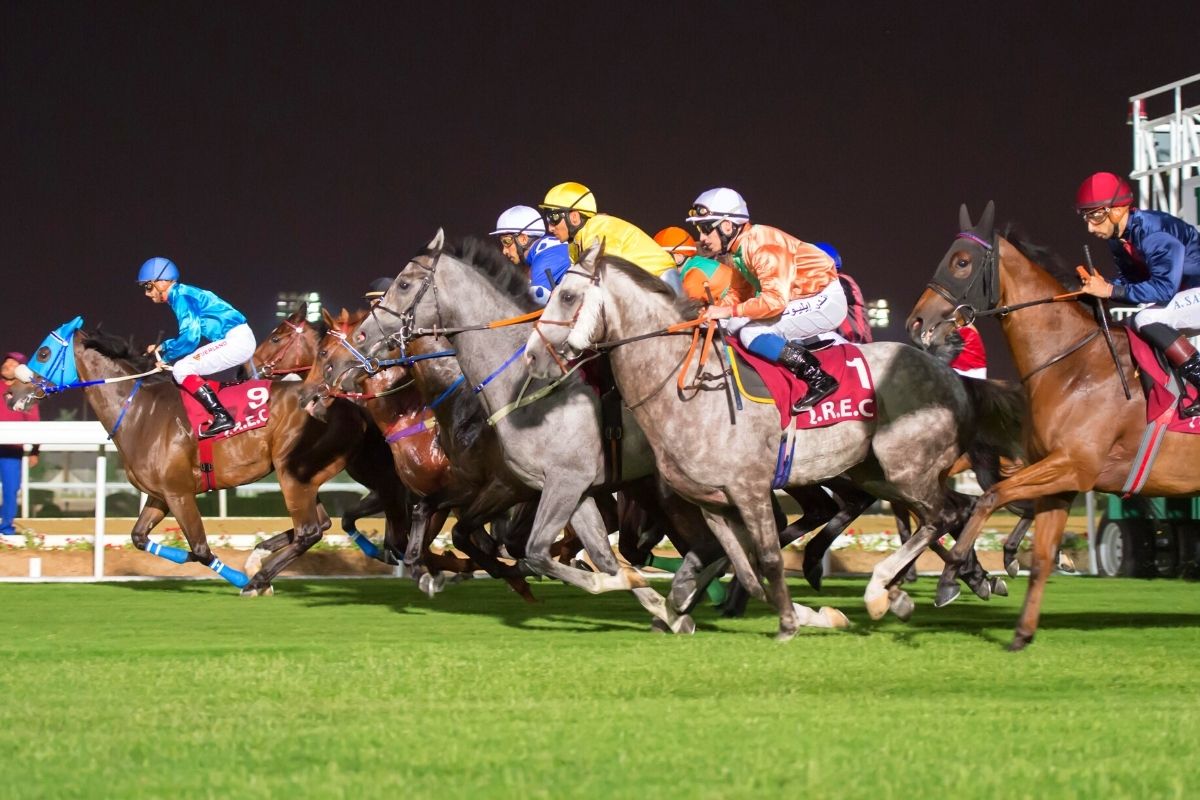 Racing & Equestrian Club, Doha