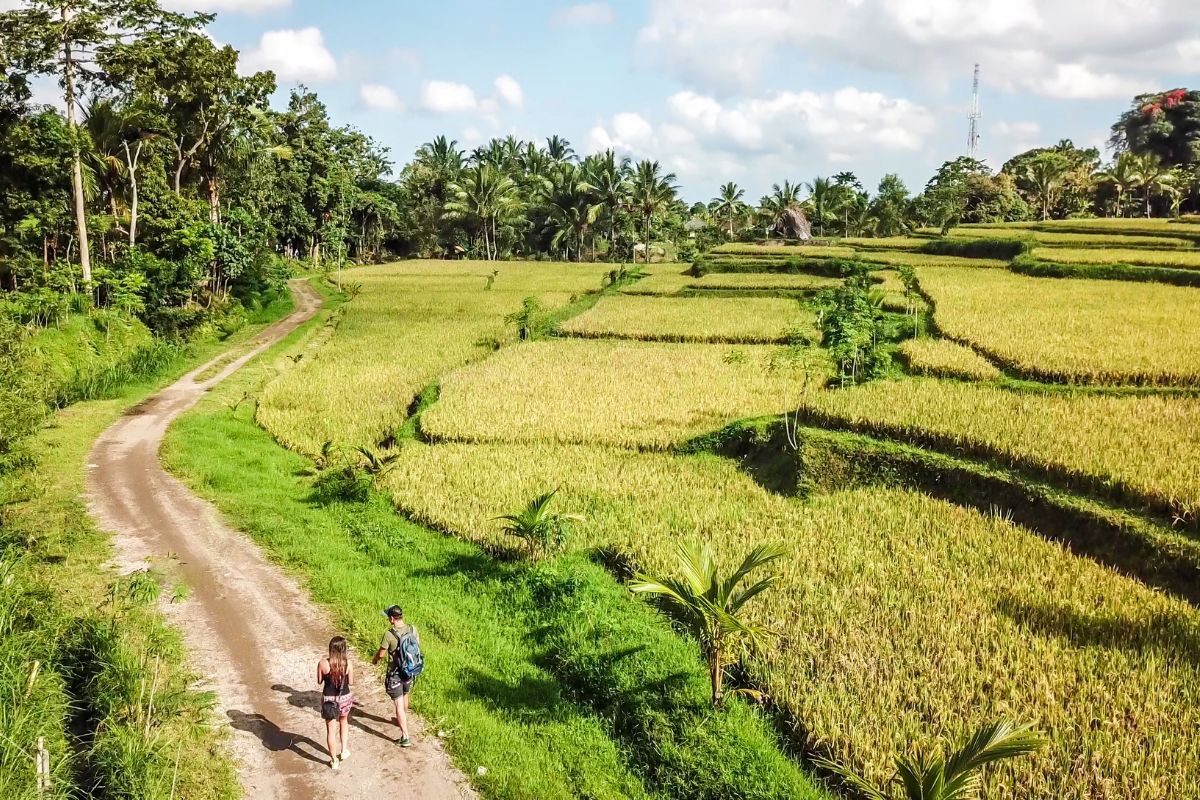 Tetebatu village, Lombok