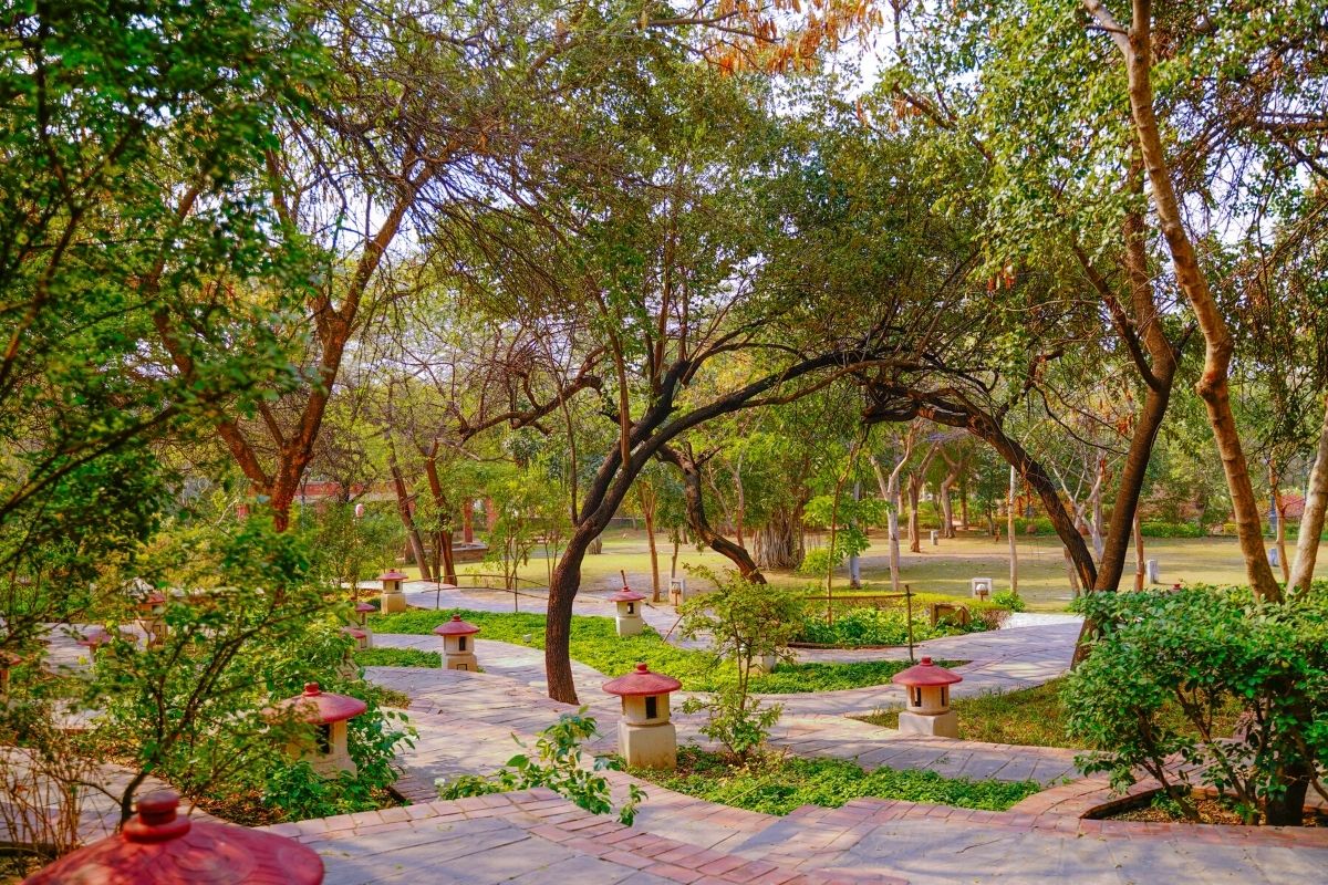 The Garden of Five Senses, Delhi