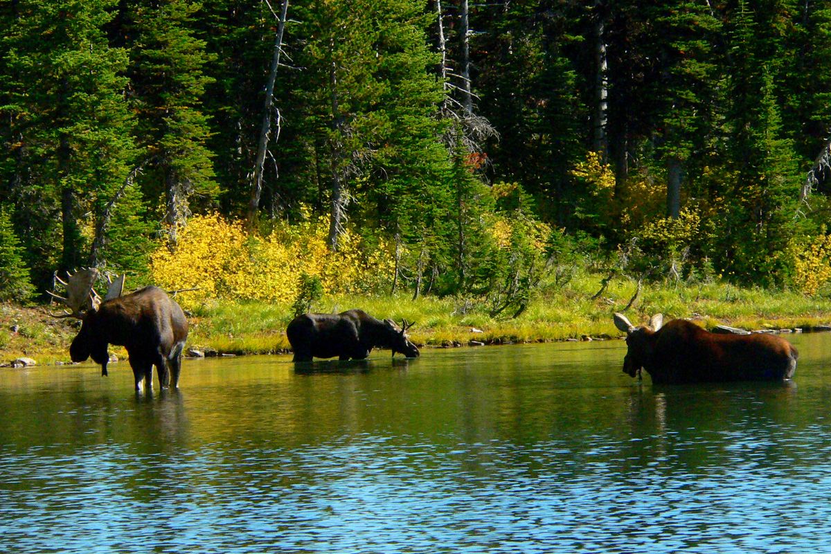 Waterton Lakes National Park of Canada