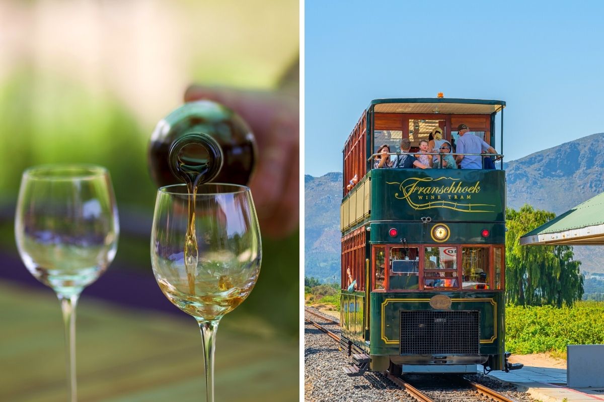 wine tours in Cape Town