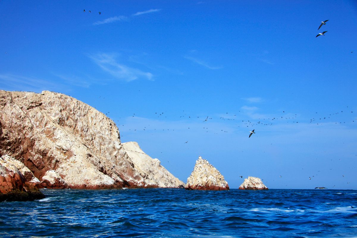 Ballestas Islands tours from Lima