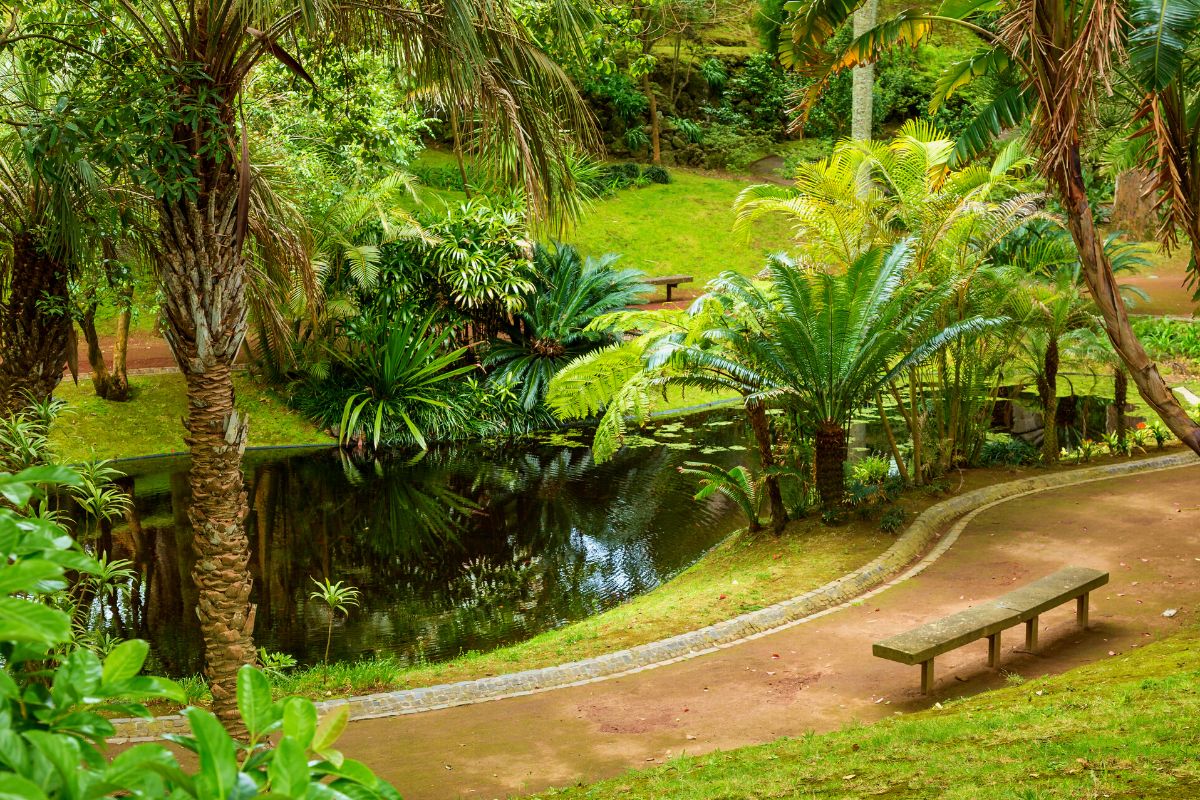 Botanical Gardens in São Miguel, Azores