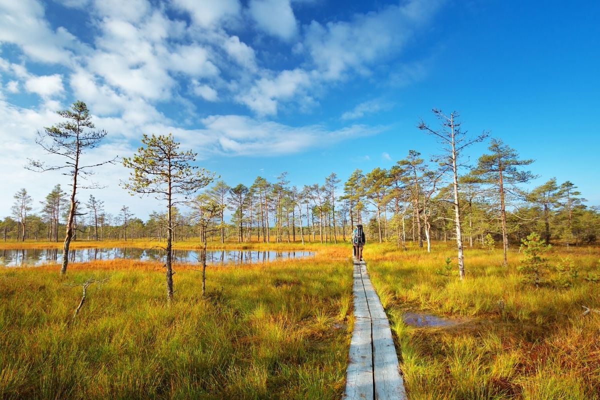 Lahemaa National Park, Estonia
