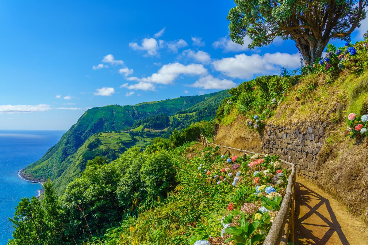 best viewpoints in São Miguel, Azores