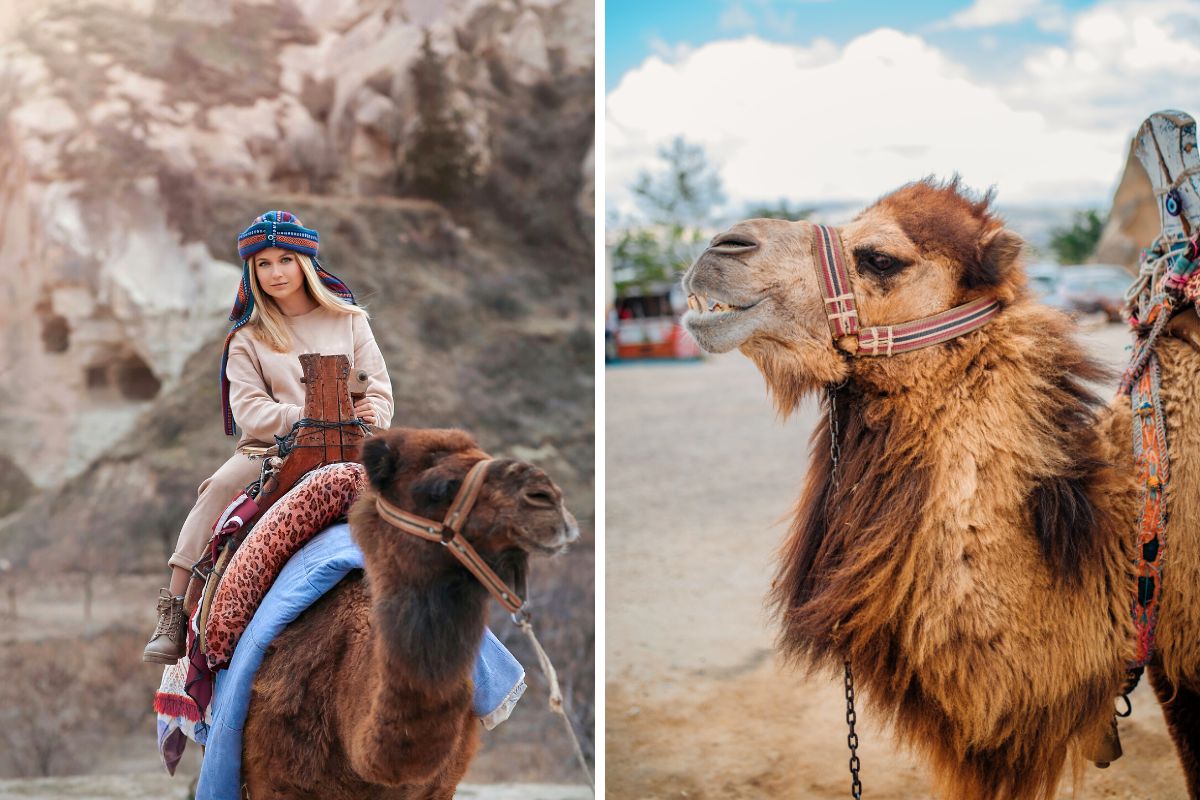 camel riding in Cappadocia