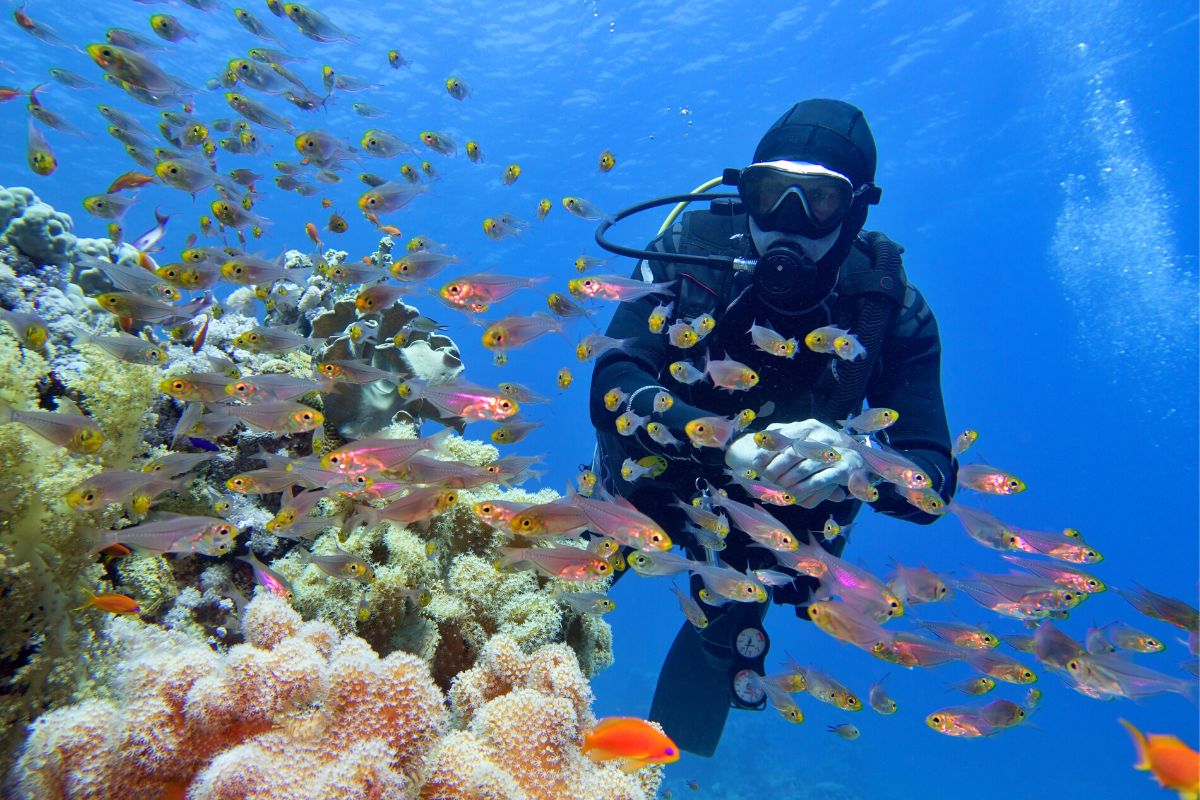 scuba diving in Hurghada