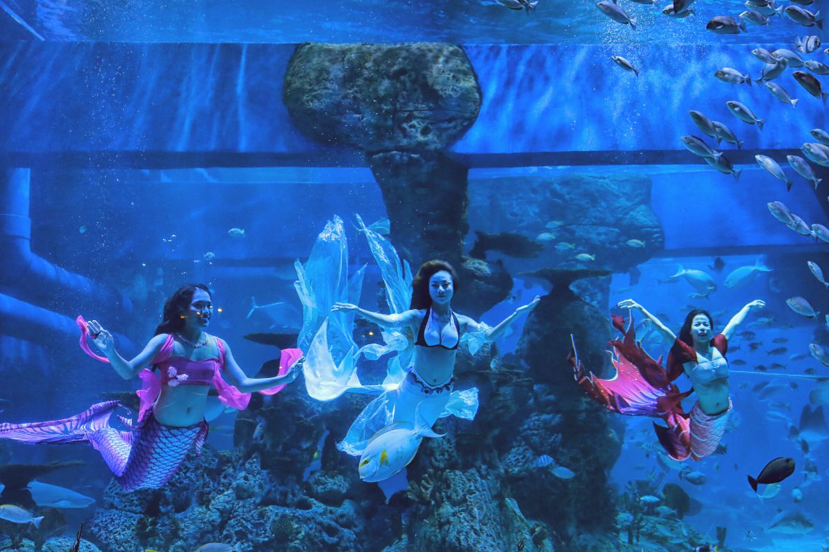 Aqua Planet, Seoul
