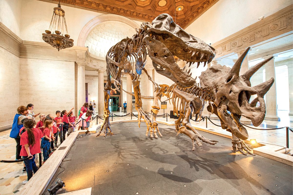 Field Museum of Natural History, Downtown Chicago
