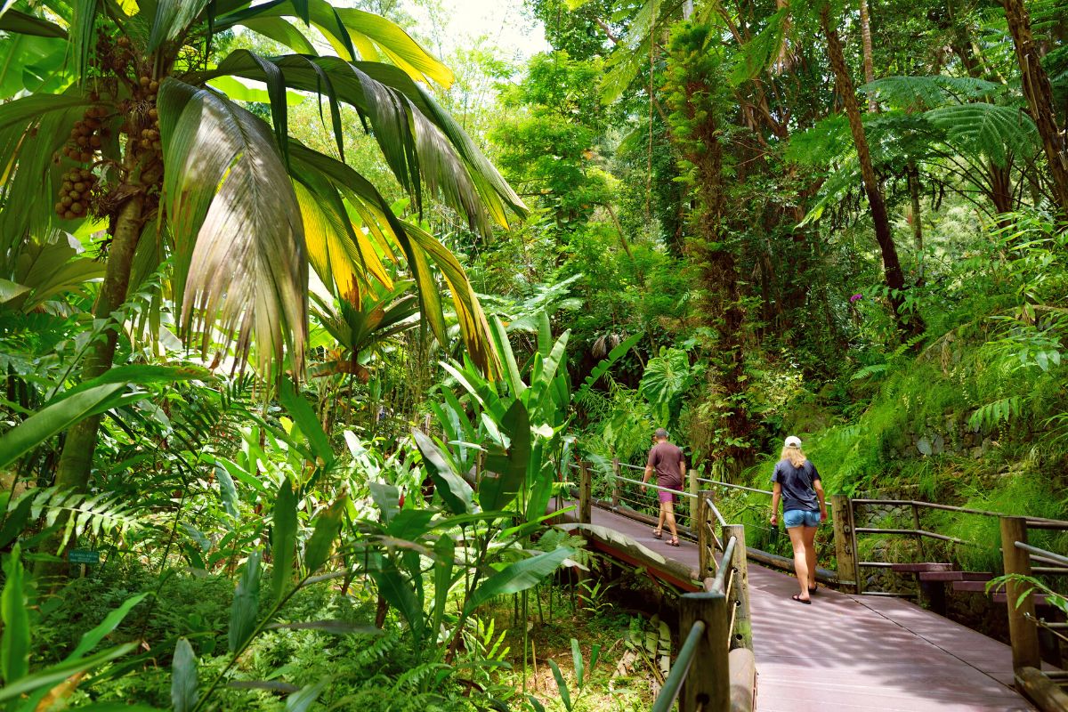 30 Seriously Fun Things to Do in Hilo, Hawaii (+Tips!)